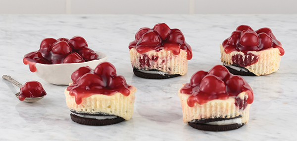 holiday baking mini marbled cheesecakes