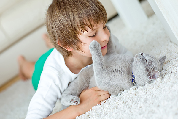 little boy cuddling with his grey at