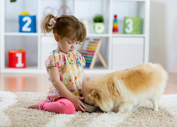 little girl feeding dog from bowl