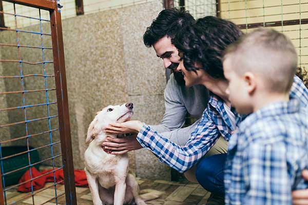 family with a dog