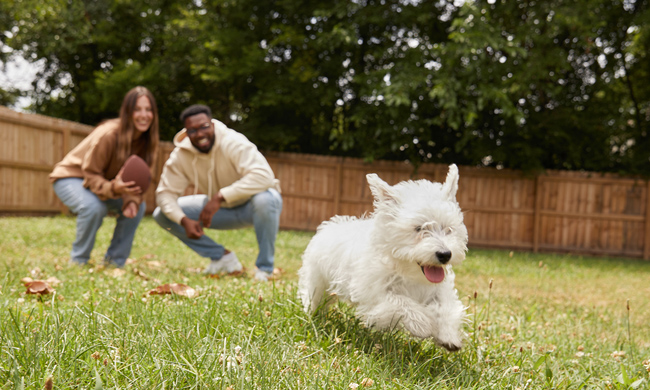 couple with dog in back yard