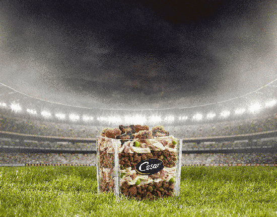 dog food on stadium grass