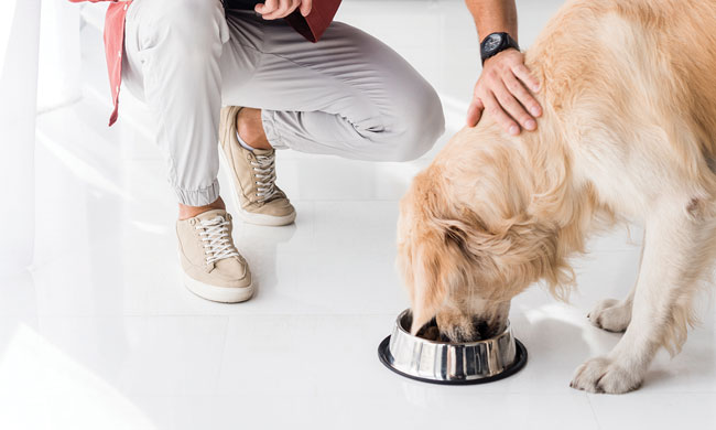 16663 detail intro image