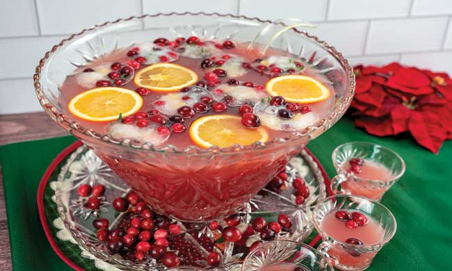 Christmas Cranberry Punch