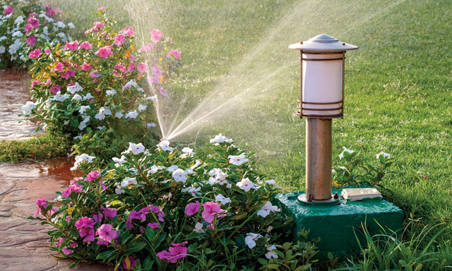 Smart Summer Garden Irrigation Tips