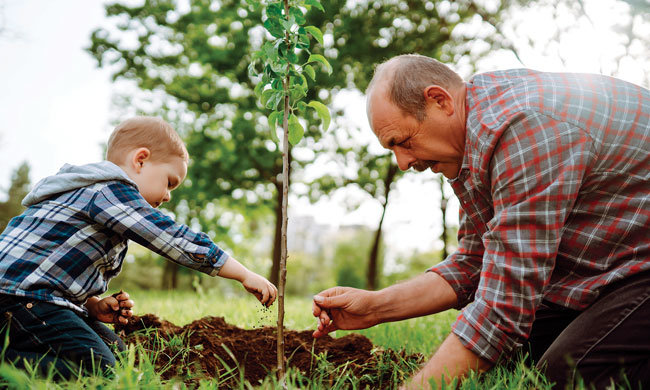 Planting Trees