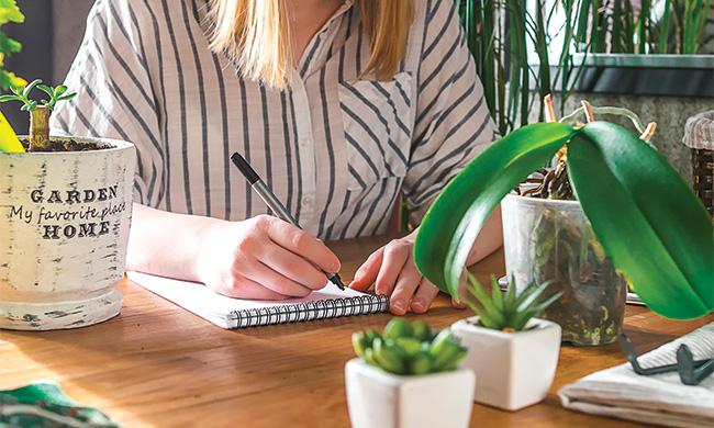 Start Planning Now for a Thriving Spring Garden