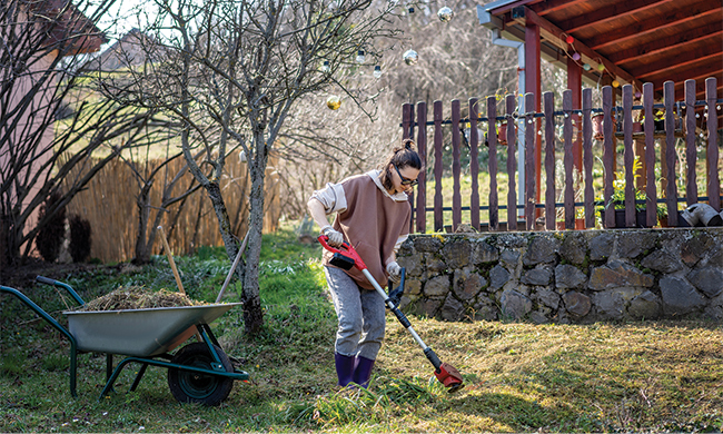 Ready, Set, Spring: 5 Smart Early-Season Yard Tips