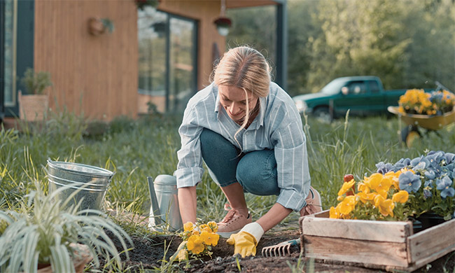 Grow Healthier Plants (and Use Less Water) by Improving Your Soil