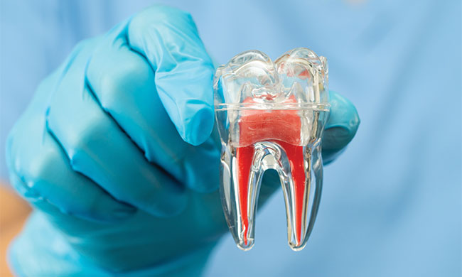 save a knocked-out tooth