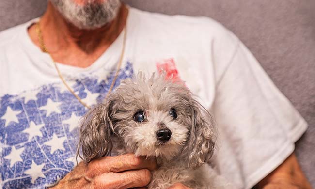 You’re not imagining it – like many goods and services, pet care costs have gone up. There are simple ways to keep costs in check, however, while still giving your furry friends the care they deserve.