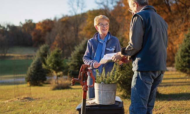 Fall Tree Planting: Expert Guidance for Optimal Growth