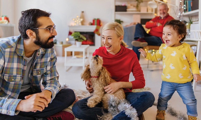 Recognizing Holiday Hazards: 5 seasonal safety tips for pet owners