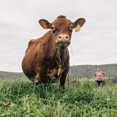 What 100% Grass-Fed Organic Dairy Brings to Your Table